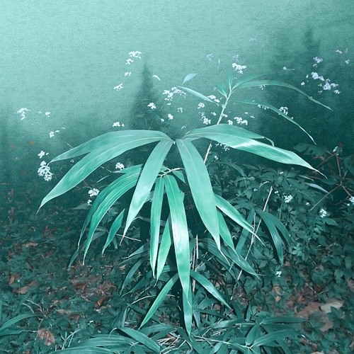 신해경 - 그대는 총천연색