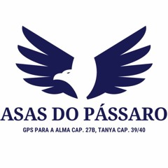 ASAS DO PÁSSARO - GPS CAP. 27B
