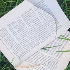 Black bells — Caminos