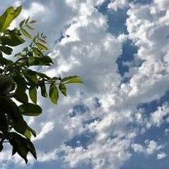 سورة البقرة كاملة القارئ بيشه‌ قادر الكردى