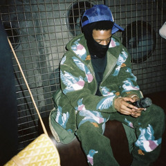 Pi'erre Bourne Instagram Hoes [OG VERSION]