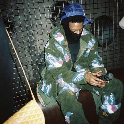 Stream Pi'erre Bourne Instagram Hoes [OG VERSION] by The Villain