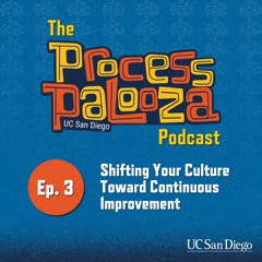 Process Palooza Podcast Ep. 3: Shifting Your Culture Toward Continuous Improvement