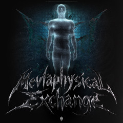 Mevtaphysical Exchange