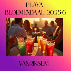 Playa Bloemendaal 2025-6 - Vanriksem