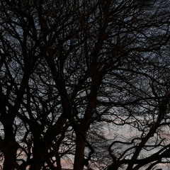 Wishing Your Life Away (Demo)