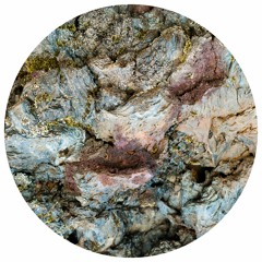 Premiere: OHM 'Shiva'