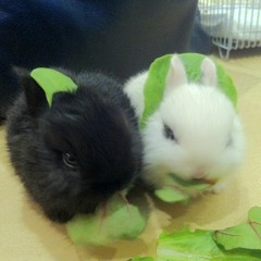 kis me thru da phoneeee  ♪♫