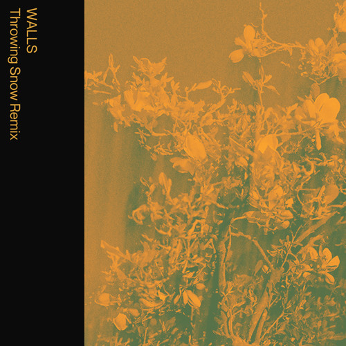 WALLS (Throwing Snow Remix) [feat. Boats]