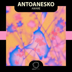 antoanesko - Aware (Lizplay Records)