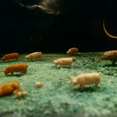 SilentMess_Solid Pleasure Mar 2026