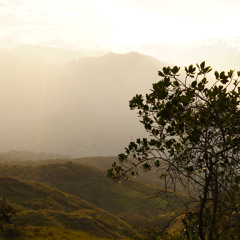 JAZZY - DZ9 - Groove Sessions PILOT