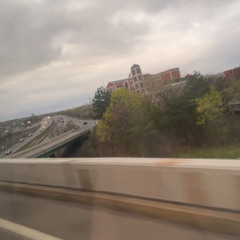 certified trapper (sso deej)