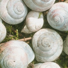 Ono cover feat. sŵn