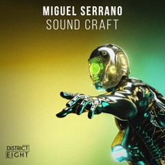 Miguel Serrano - Sound Craft (Original Mix)