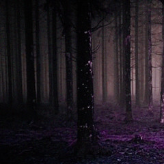 into the trees