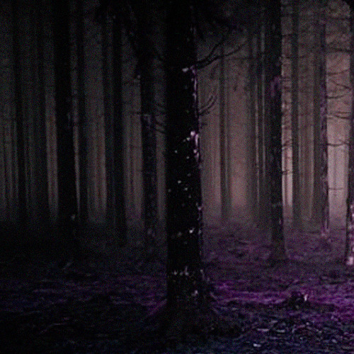 into the trees