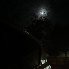 الغياب ~ هادي بن جابر