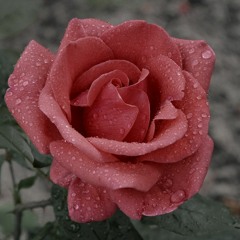 Wonderful