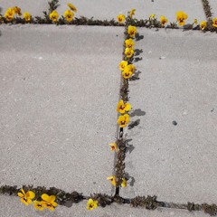 Vad jag längtar.m4a