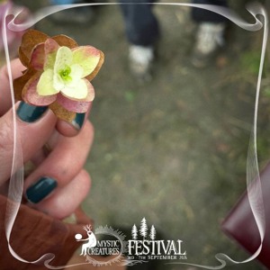 morning hours at spirit space | mystic creatures festival 2026