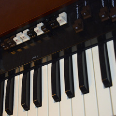 Organ Drone 1