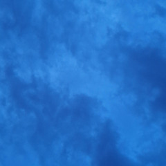 tis_b6