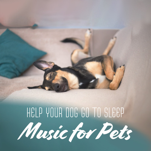 Stream Help Your Puppy Go to Sleep by Animal Melody Wizard Listen
