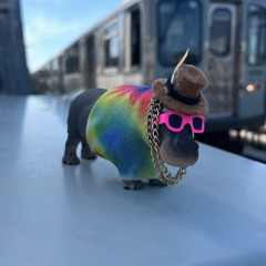 Drippo the Hippo by Doctor Waffle