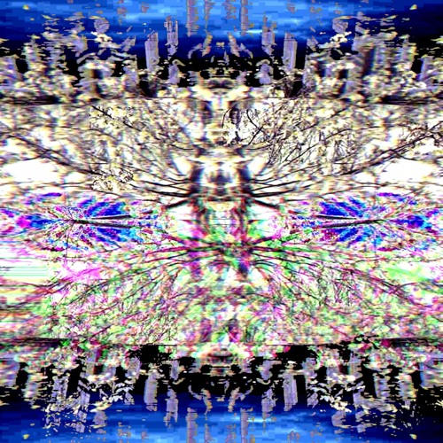 Søul bømb w/ seraphdive