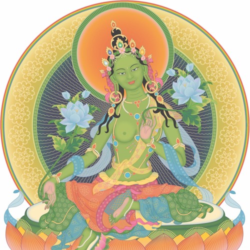 Tara - Part 1b - Introduction