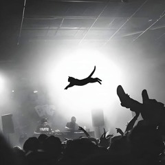 The Basement #3