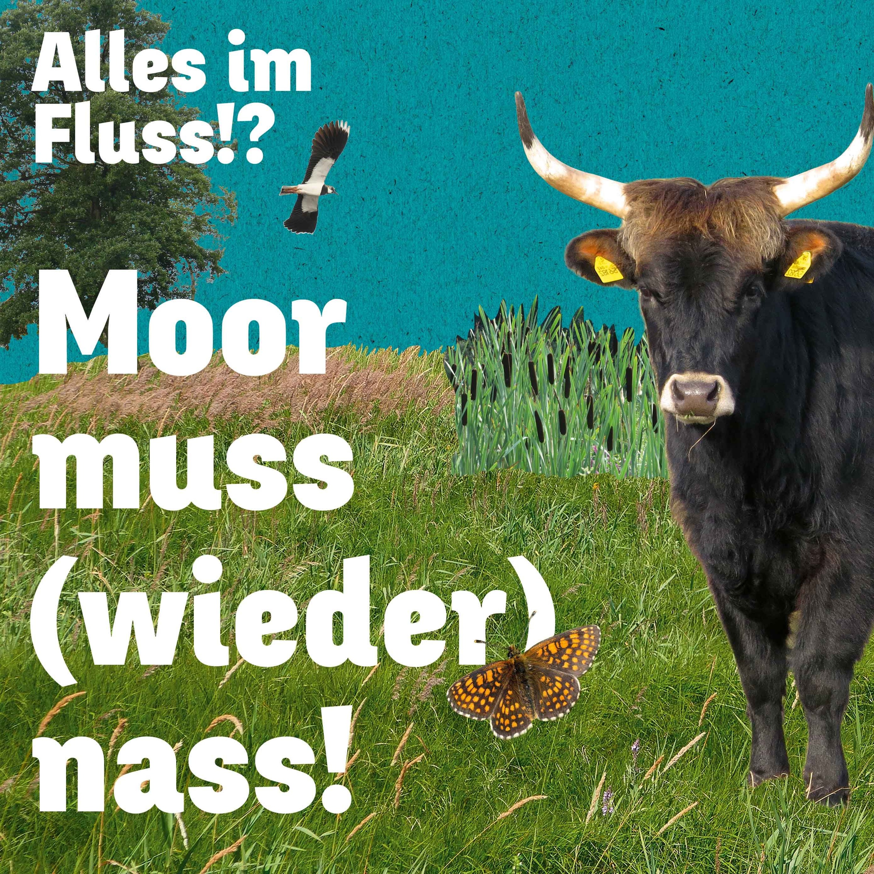 Weiterdenken