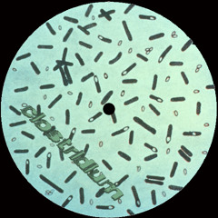 CLOSTRIDIUM