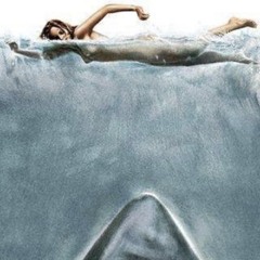 BLOOD IN THE WATER (THIS IS THE SHARK ATTACK) - SKRILLEX REMIX