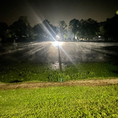 I Forgot How To Talk