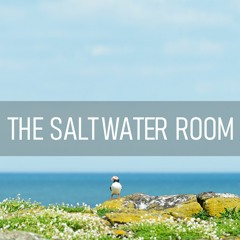 The Saltwater Room - Otaku Ki Utau English CVVC