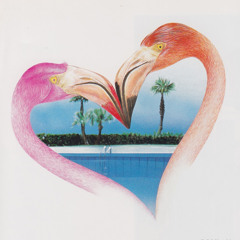 j.roosevelt - palm trees (buuckley remix)