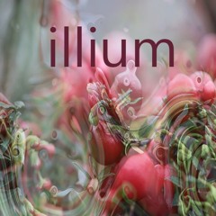 Illium
