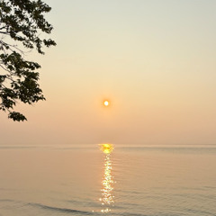 Distinct Motive x Lil Wayne - No Mystery x Racks iTFiTZ