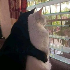 i get lonely sometimes and need a hug (tennis player)