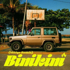 Rawayana - Binikini Feat. Danny Ocean (Mōiqe Remix)
