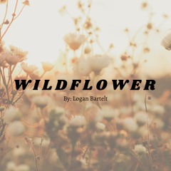 Wildflower ( original )