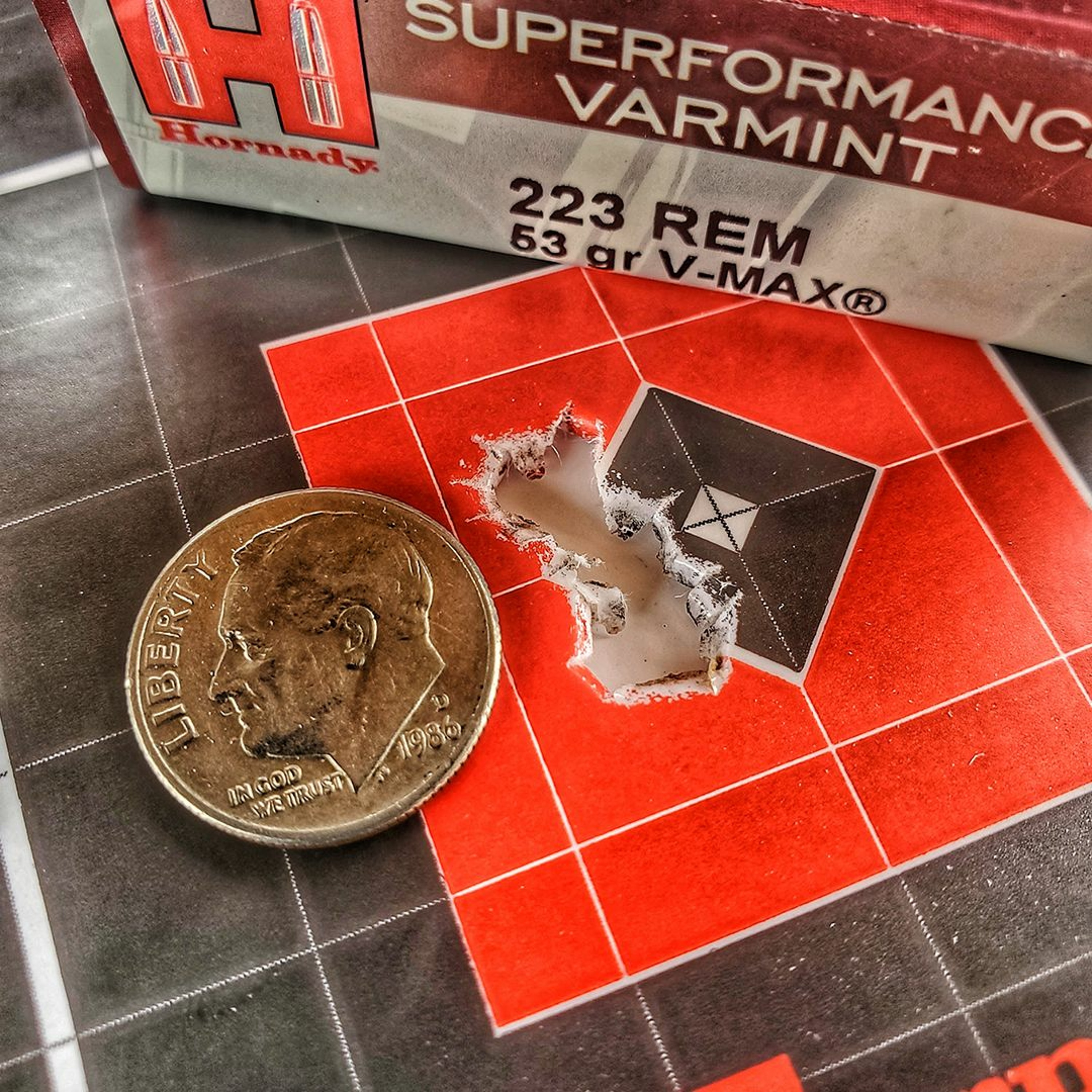 Episode 27: The Best Ammo for Coyote Hunting with Joe Thielen & Seth Swerczek episode artwork