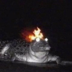 Cama Beat May 28 2023