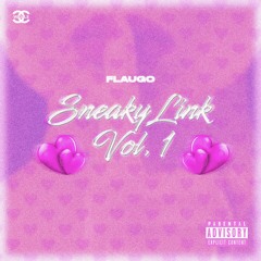 SNEAKY LINK VOL. 1