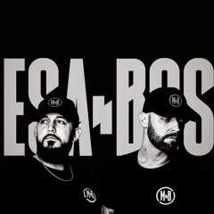 Mesa & Boss - Proxima Guest Mix 039 [In Progress Radio]