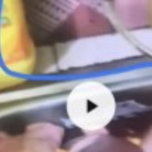 ((Video Gốc)) kỳ án 88 nguyễn xuân đạt 88 trang 88 trang tài liệu đoàn văn sáng vụ lạng sơn 88 trang ở lạng sơn