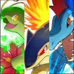 Pokémon Ranger Guardian Signs Pinchers Admin Battle