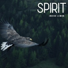Indigo Lemon - Spirit